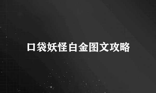 口袋妖怪白金图文攻略