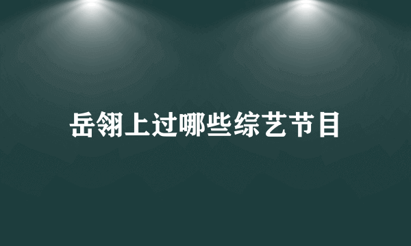 岳翎上过哪些综艺节目