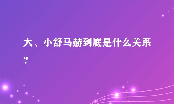 大、小舒马赫到底是什么关系？