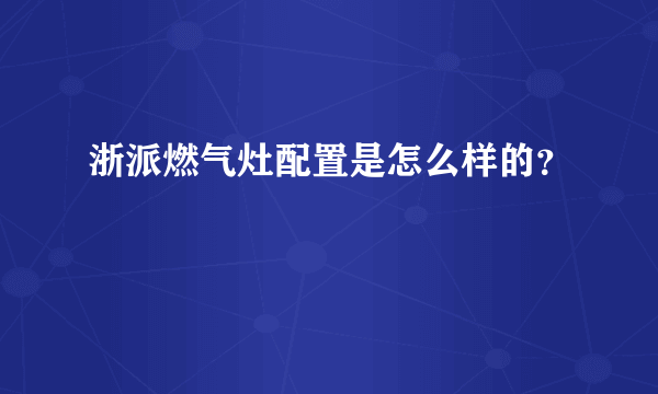 浙派燃气灶配置是怎么样的？