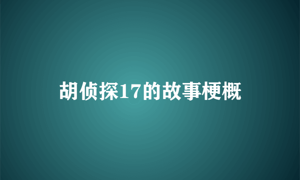 胡侦探17的故事梗概