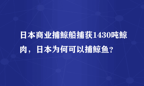 日本商业捕鲸船捕获1430吨鲸肉，日本为何可以捕鲸鱼？