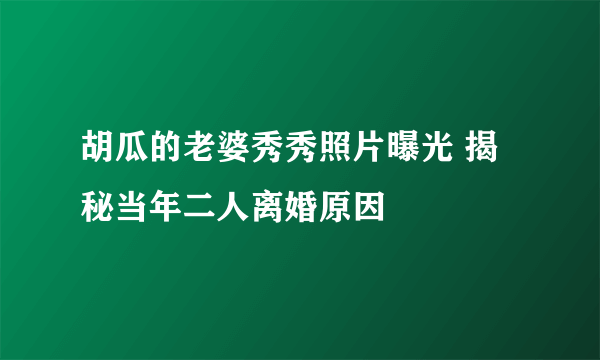 胡瓜的老婆秀秀照片曝光 揭秘当年二人离婚原因