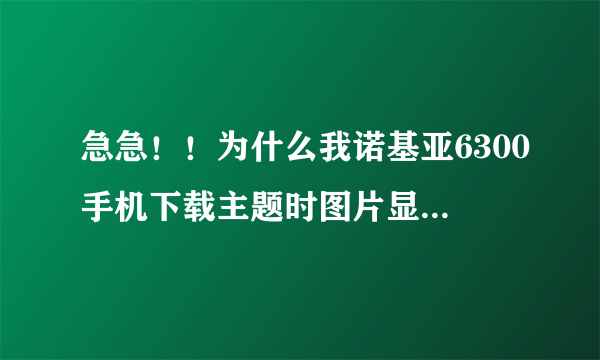 急急！！为什么我诺基亚6300手机下载主题时图片显示不了，一直显示装载中，用UC自带浏览器下载提示错误