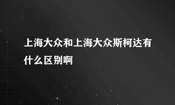 上海大众和上海大众斯柯达有什么区别啊