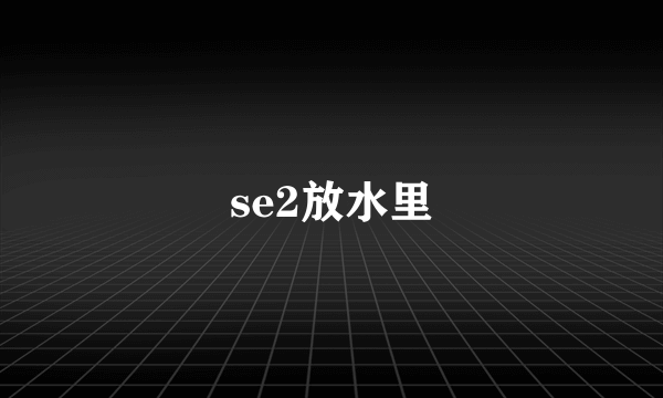 se2放水里