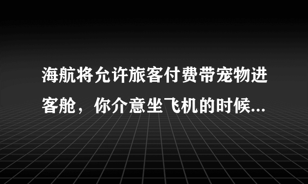 海航将允许旅客付费带宠物进客舱，你介意坐飞机的时候机舱有条狗狗吗？