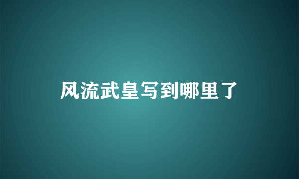 风流武皇写到哪里了