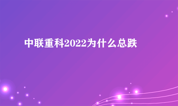 中联重科2022为什么总跌