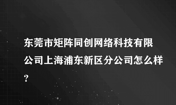 东莞市矩阵同创网络科技有限公司上海浦东新区分公司怎么样？