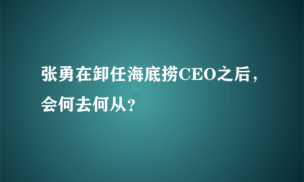 张勇在卸任海底捞CEO之后，会何去何从？