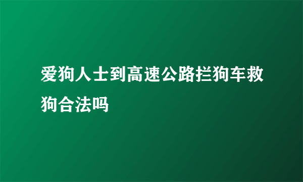 爱狗人士到高速公路拦狗车救狗合法吗