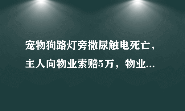 宠物狗路灯旁撒尿触电死亡，主人向物业索赔5万，物业在此事中有责任吗？