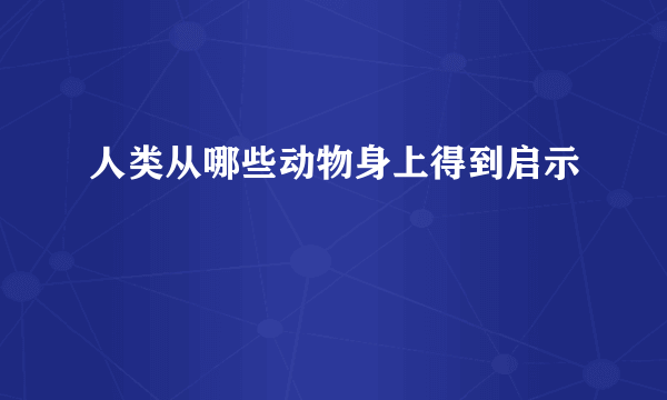 人类从哪些动物身上得到启示