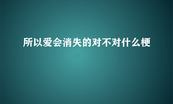 所以爱会消失的对不对什么梗