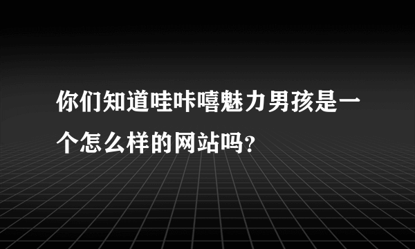 你们知道哇咔嘻魅力男孩是一个怎么样的网站吗？