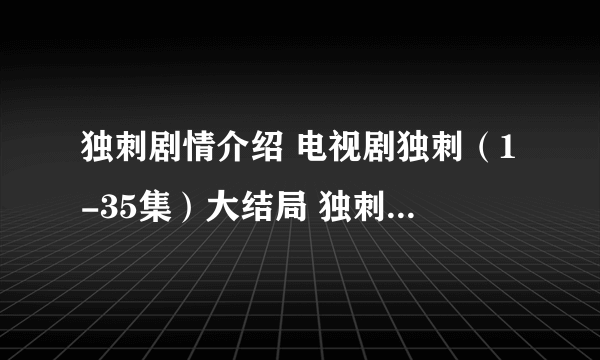 独刺剧情介绍 电视剧独刺（1-35集）大结局 独刺全集剧情介绍