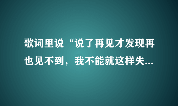 歌词里说“说了再见才发现再也见不到，我不能就这样失去你的微笑…”是哪首歌？求歌名