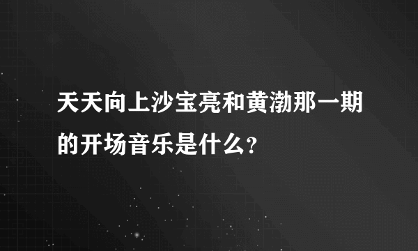 天天向上沙宝亮和黄渤那一期的开场音乐是什么？