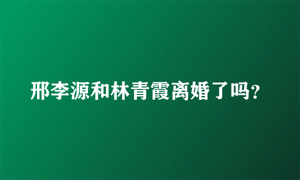 邢李源和林青霞离婚了吗？