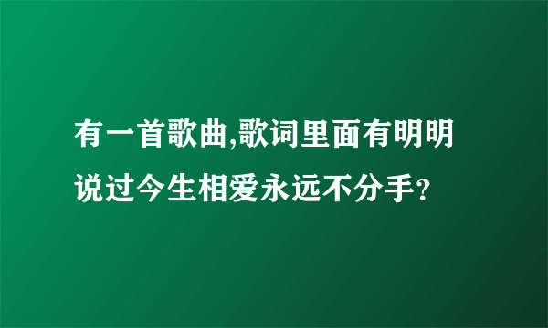 有一首歌曲,歌词里面有明明说过今生相爱永远不分手？