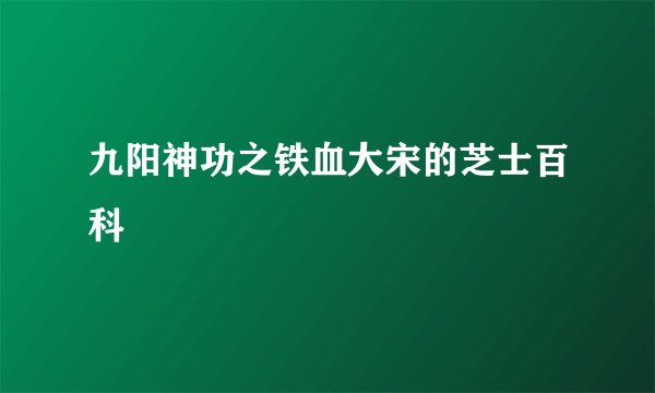 九阳神功之铁血大宋的芝士百科