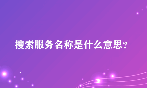 搜索服务名称是什么意思？