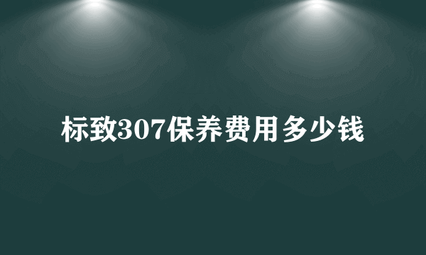 标致307保养费用多少钱