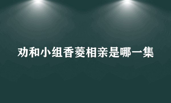 劝和小组香菱相亲是哪一集