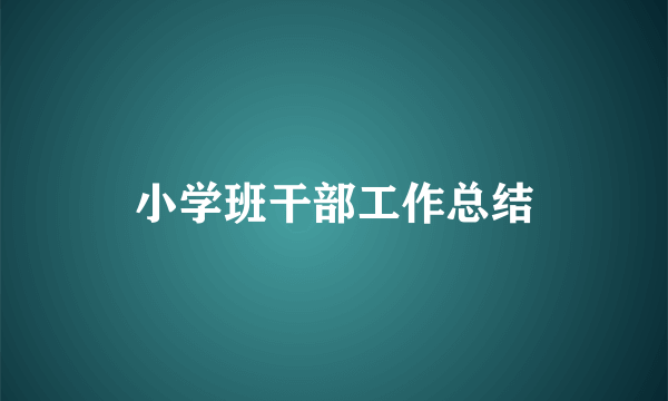 小学班干部工作总结