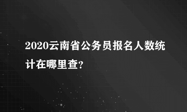 2020云南省公务员报名人数统计在哪里查？