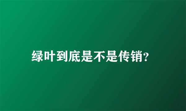 绿叶到底是不是传销？