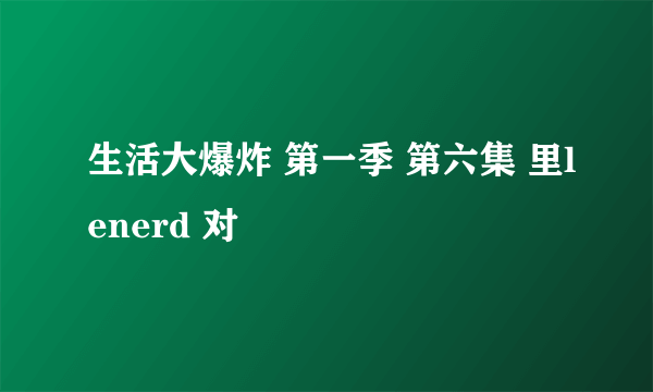 生活大爆炸 第一季 第六集 里lenerd 对