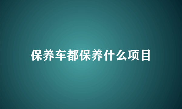 保养车都保养什么项目