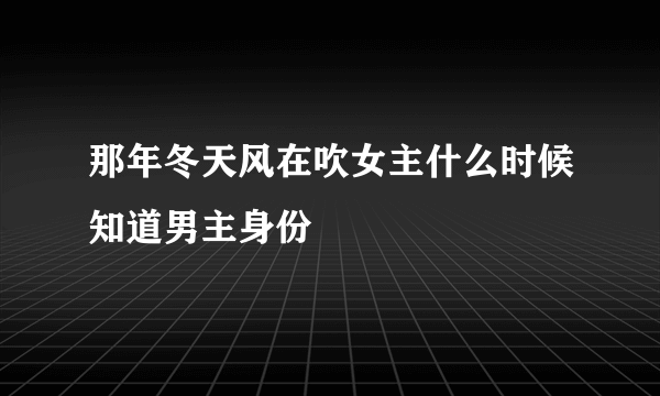 那年冬天风在吹女主什么时候知道男主身份