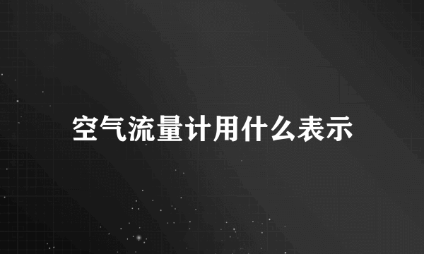 空气流量计用什么表示