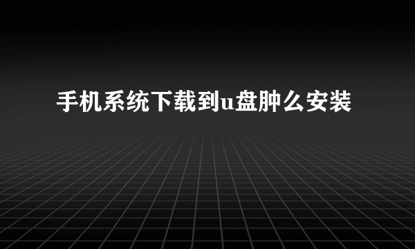 手机系统下载到u盘肿么安装