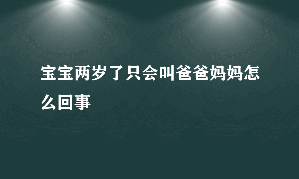 宝宝两岁了只会叫爸爸妈妈怎么回事