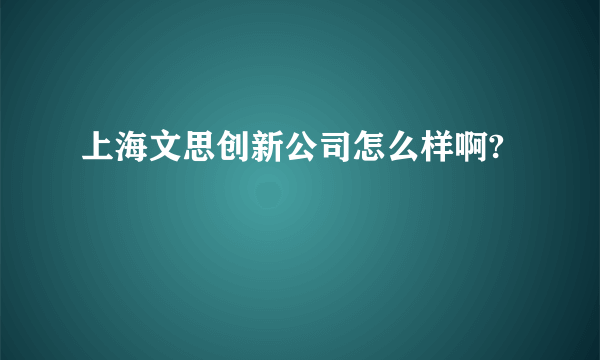 上海文思创新公司怎么样啊?