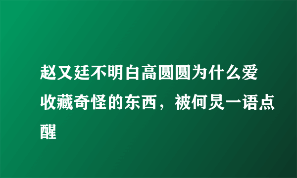 赵又廷不明白高圆圆为什么爱收藏奇怪的东西，被何炅一语点醒