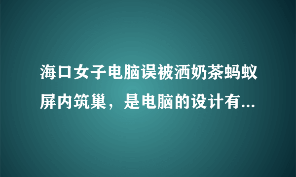 海口女子电脑误被洒奶茶蚂蚁屏内筑巢，是电脑的设计有问题吗？