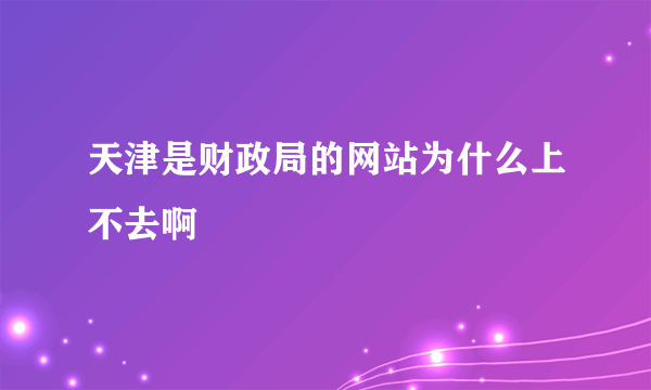 天津是财政局的网站为什么上不去啊