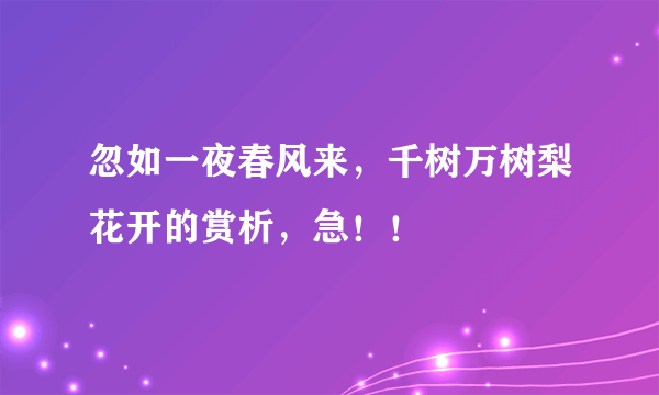 忽如一夜春风来，千树万树梨花开的赏析，急！！