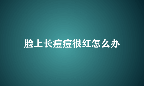 脸上长痘痘很红怎么办