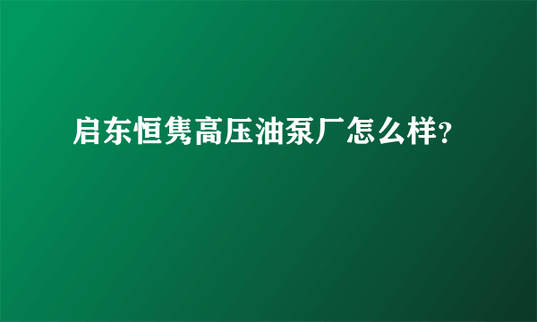 启东恒隽高压油泵厂怎么样？