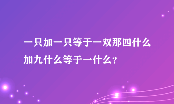 一只加一只等于一双那四什么加九什么等于一什么？