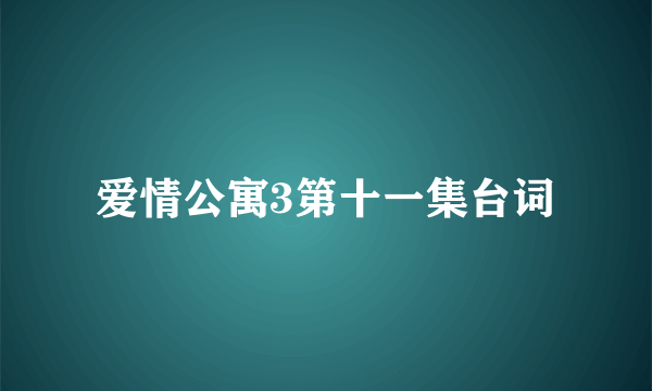 爱情公寓3第十一集台词