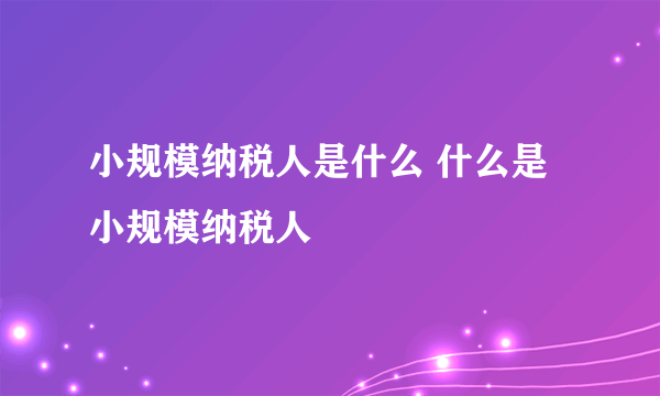 小规模纳税人是什么 什么是小规模纳税人