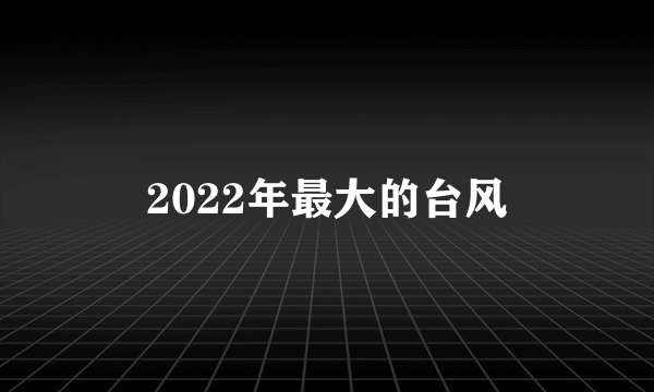 2022年最大的台风