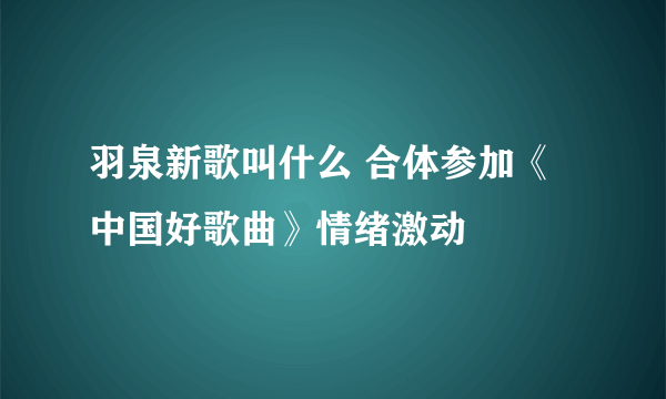 羽泉新歌叫什么 合体参加《中国好歌曲》情绪激动